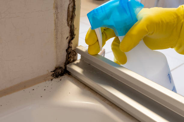 Best Professional Mold Removal  in Morrow, GA