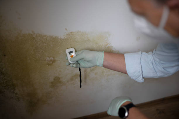 Best Mold Testing  in Morrow, GA