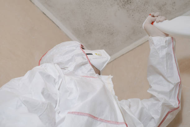 Best Toxic Mold Removal  in Morrow, GA