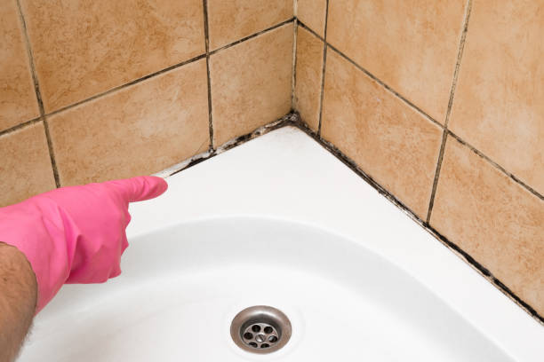 Best Mold Damage Repair  in Morrow, GA